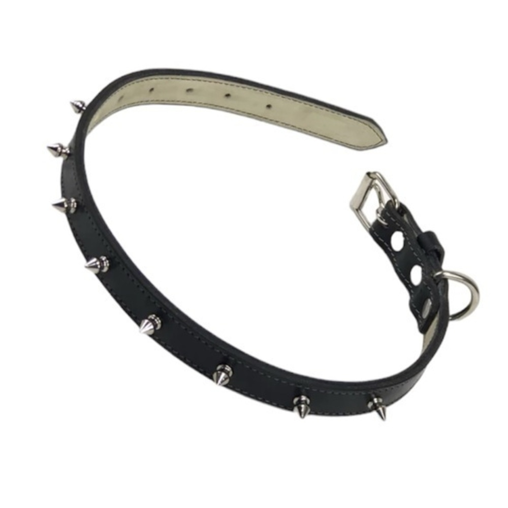 Spike Dog Collar, Black/Silver